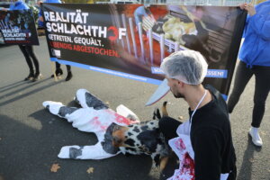 Mehrere Aktivist*innen nehmen an der Protestaktion vor dem Schlachthof teil. Jemand hat ein Kuhkostüm an und liegt auf dem Boden, sie wird symbolisch von einem verkleideten Schlachter abgestochen.