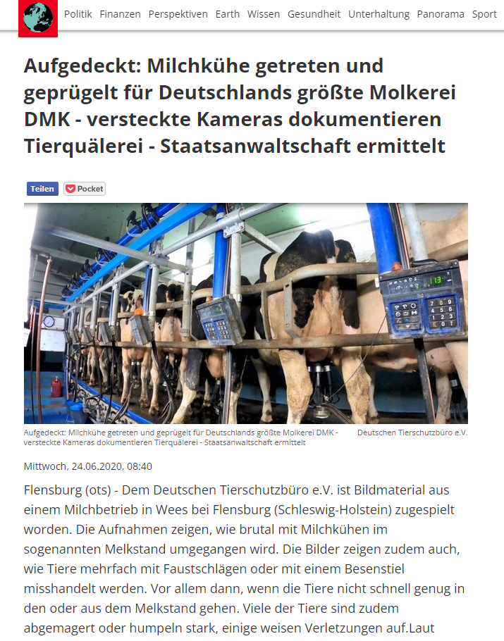 Aufgedeckt: Milchkühe getreten und geprügelt für Deutschlands größte Molkerei DMK - versteckte Kameras dokumentieren Tierquälerei - Staatsanwaltschaft ermittelt