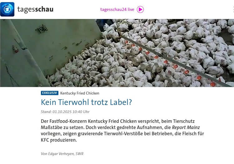 Kein Tierwohl trotz Label?