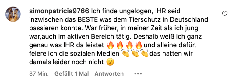 Bildschirmfoto 2024-07-11 um 14.52.40