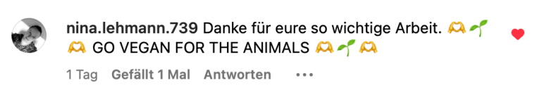 Bildschirmfoto 2024-08-05 um 09.12.31