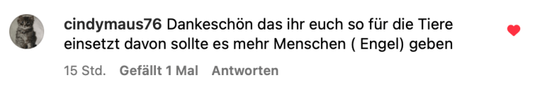 Bildschirmfoto 2024-10-15 um 08.37.12