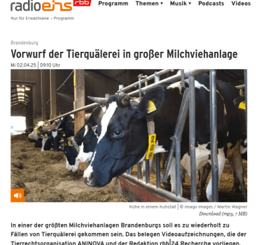 radioeins-rbb-milch
