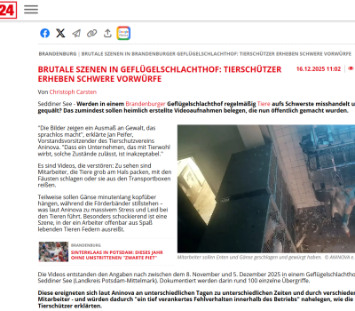 tag24-gänse-enten-schlachthof